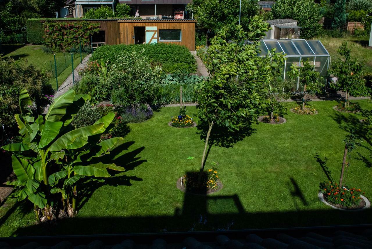 Ferienwohnung Wolf Greven Zewnętrze zdjęcie